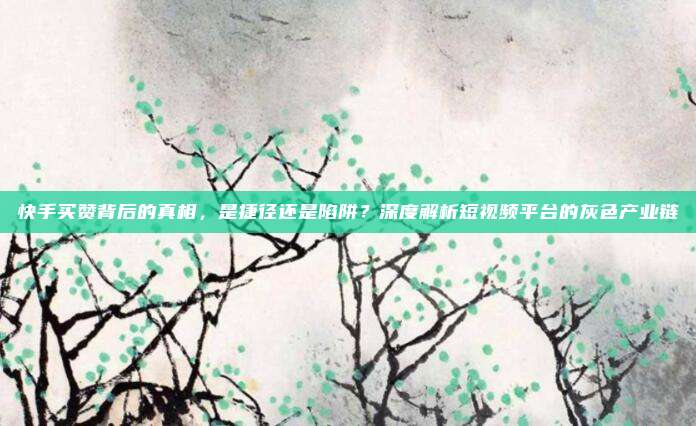 快手买赞背后的真相，是捷径还是陷阱？深度解析短视频平台的灰色产业链