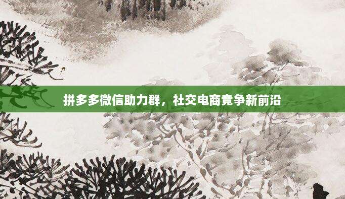 拼多多微信助力群，社交电商竞争新前沿