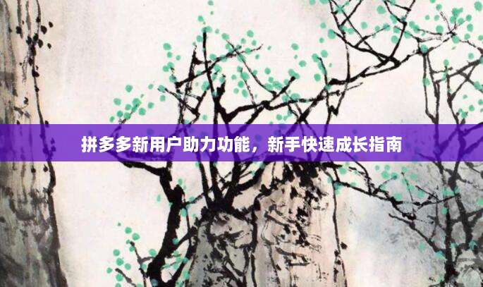 拼多多新用户助力功能,新手快速成长指南
