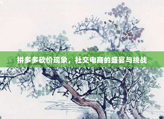 拼多多砍价现象,社交电商的盛宴与挑战
