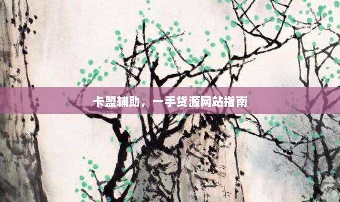 卡盟辅助，一手货源网站指南