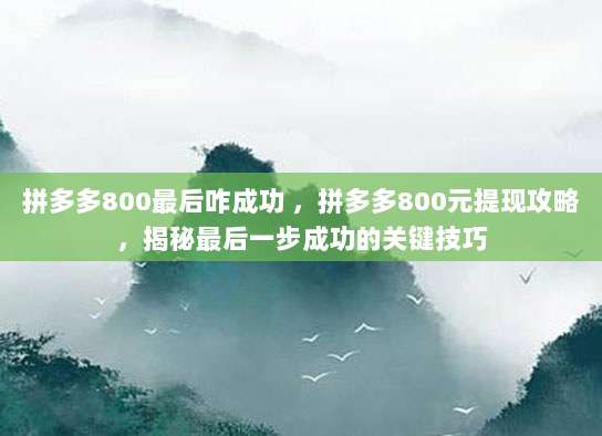 拼多多800最后咋成功 ，拼多多800元提现攻略，揭秘最后一步成功的关键技巧