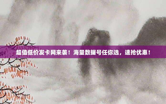 超值低价发卡网来袭！海量数据号任你选，速抢优惠！