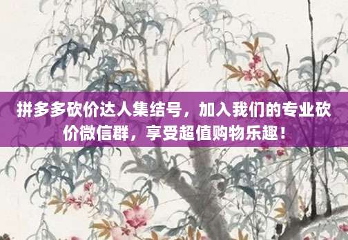 拼多多砍价达人集结号,加入我们的专业砍价微信群,享受超值购物乐趣!