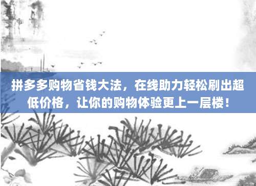 拼多多购物省钱大法，在线助力轻松刷出超低价格，让你的购物体验更上一层楼！