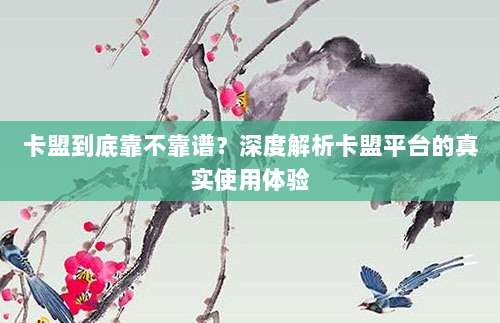卡盟到底靠不靠谱？深度解析卡盟平台的真实使用体验