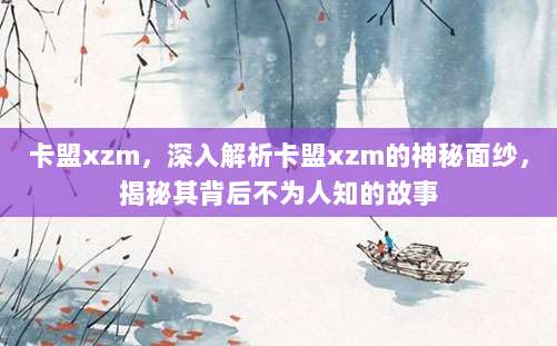 卡盟xzm，深入解析卡盟xzm的神秘面纱，揭秘其背后不为人知的故事