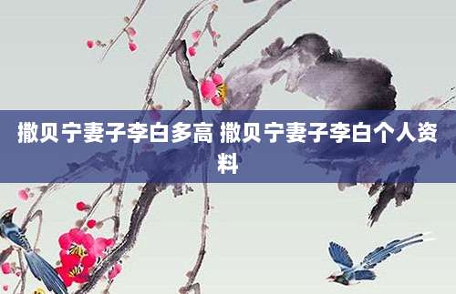 撒贝宁妻子李白多高 撒贝宁妻子李白个人资料