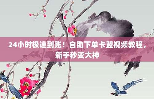 24小时极速到账！自助下单卡盟视频教程，新手秒变大神