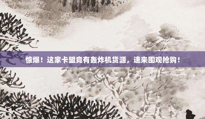 惊爆!这家卡盟竟有轰炸机货源,速来围观抢购!