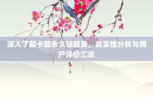 深入了解卡盟永久钻服务，真实性分析与用户评价汇总