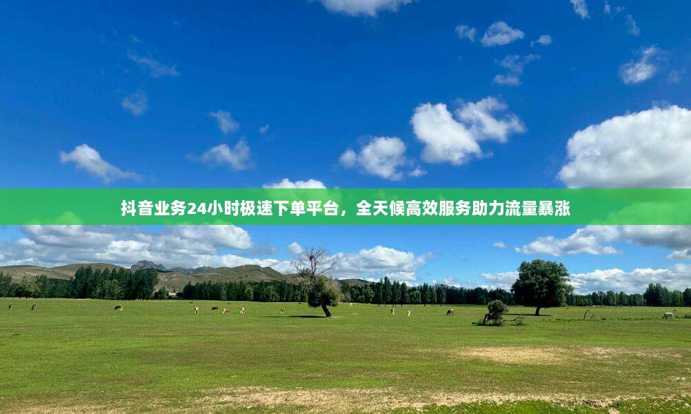抖音业务24小时极速下单平台，全天候高效服务助力流量暴涨