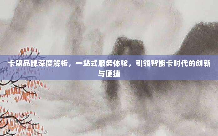 卡盟品牌深度解析,一站式服务体验,引领智能卡时代的创新与便捷