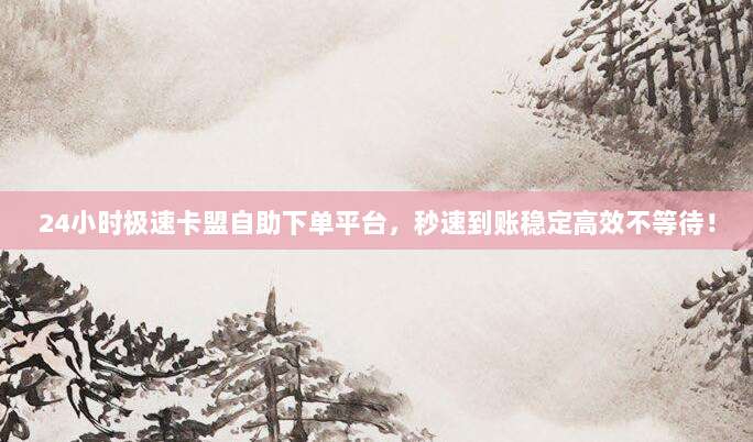 24小时极速卡盟自助下单平台，秒速到账稳定高效不等待！