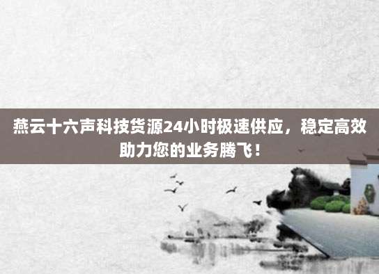 燕云十六声科技货源24小时极速供应，稳定高效助力您的业务腾飞！