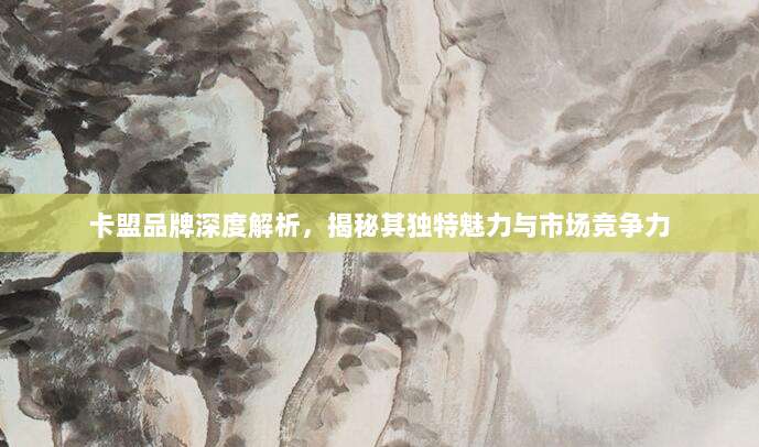 卡盟品牌深度解析，揭秘其独特魅力与市场竞争力
