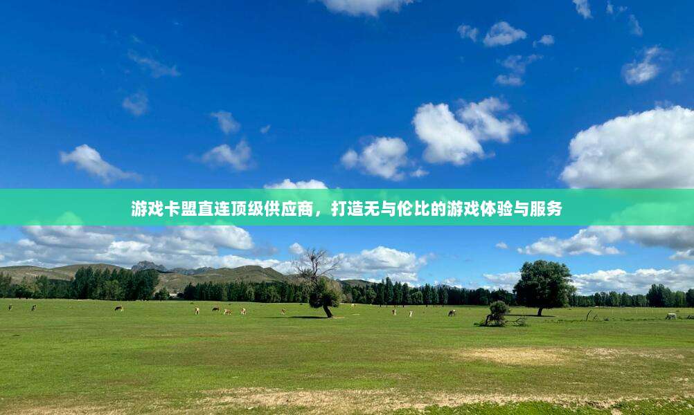 游戏卡盟直连顶级供应商,打造无与伦比的游戏体验与服务