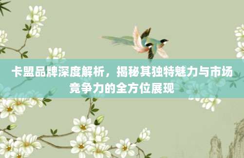 卡盟品牌深度解析,揭秘其独特魅力与市场竞争力的全方位展现
