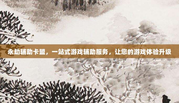 永劫辅助卡盟,一站式游戏辅助服务,让您的游戏体验升级