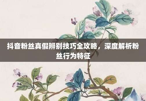 抖音粉丝真假辨别技巧全攻略，深度解析粉丝行为特征