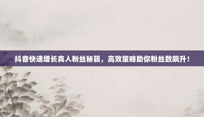 抖音快速增长真人粉丝秘籍，高效策略助你粉丝数飙升！