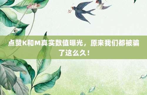 点赞K和M真实数值曝光，原来我们都被骗了这么久！