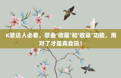 K歌达人必看,歌曲‘收藏’和‘收录’功能,用对了才是真会玩!