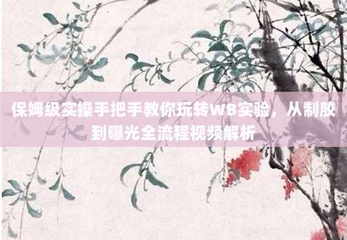 保姆级实操手把手教你玩转WB实验，从制胶到曝光全流程视频解析