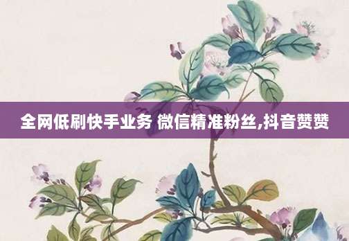 全网低刷快手业务 微信精准粉丝,抖音赞赞