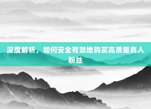 深度解析，如何安全有效地购买高质量真人粉丝