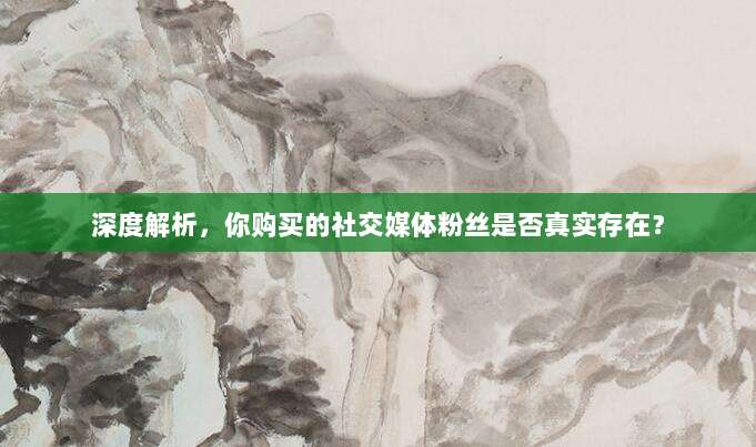 深度解析，你购买的社交媒体粉丝是否真实存在？