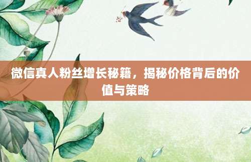 微信真人粉丝增长秘籍，揭秘价格背后的价值与策略