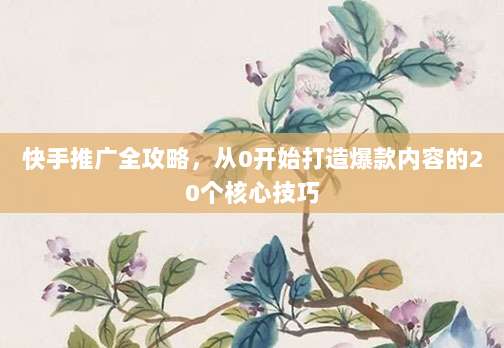 快手推广全攻略，从0开始打造爆款内容的20个核心技巧