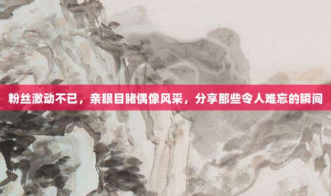 粉丝激动不已，亲眼目睹偶像风采，分享那些令人难忘的瞬间