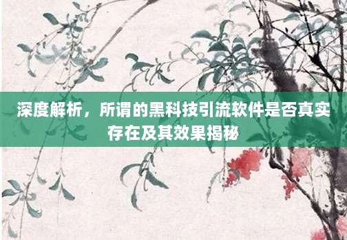 深度解析,所谓的黑科技引流软件是否真实存在及其效果揭秘