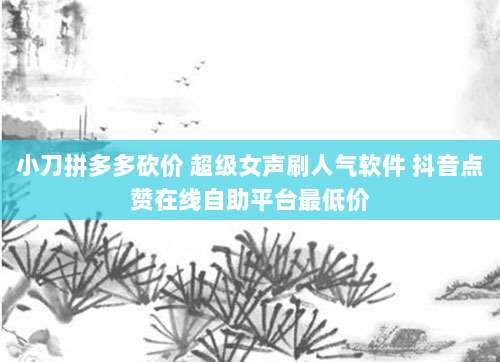 小刀拼多多砍价 超级女声刷人气软件 抖音点赞在线自助平台最低价
