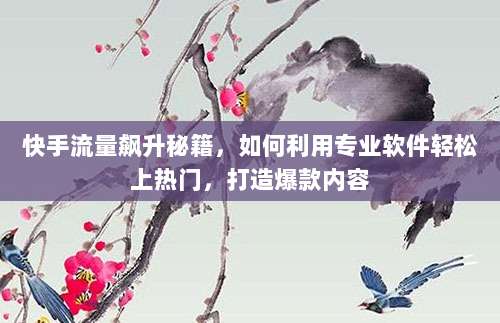 快手流量飙升秘籍，如何利用专业软件轻松上热门，打造爆款内容