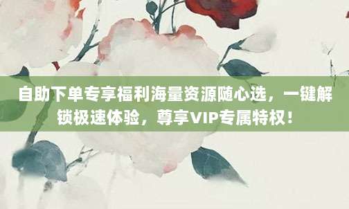 自助下单专享福利海量资源随心选，一键解锁极速体验，尊享VIP专属特权！