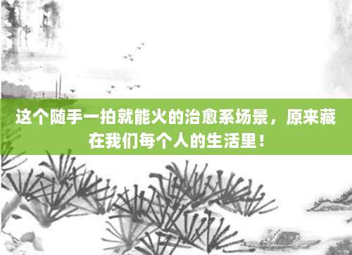 这个随手一拍就能火的治愈系场景,原来藏在我们每个人的生活里!