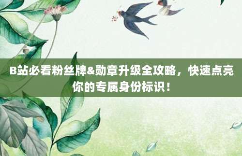 B站必看粉丝牌&勋章升级全攻略，快速点亮你的专属身份标识！