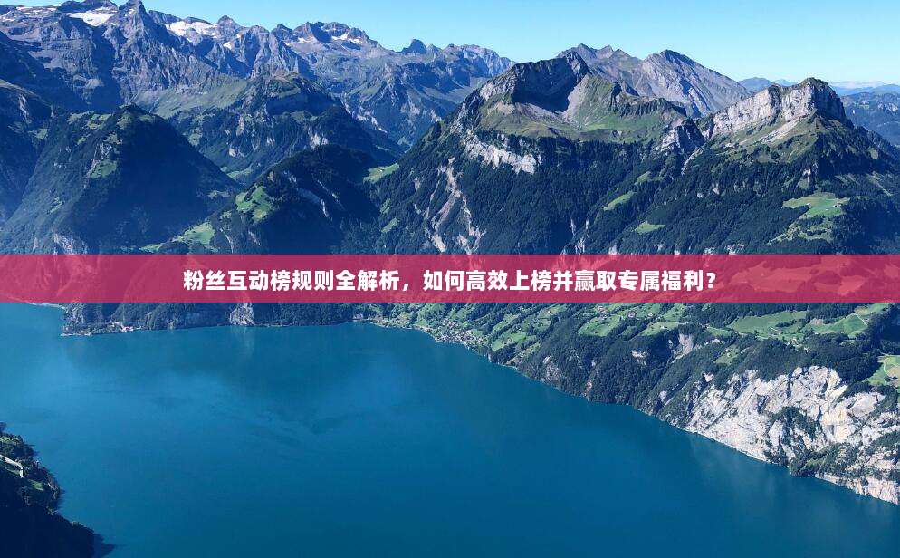 粉丝互动榜规则全解析,如何高效上榜并赢取专属福利?