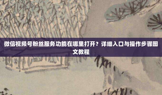 微信视频号粉丝服务功能在哪里打开?详细入口与操作步骤图文教程