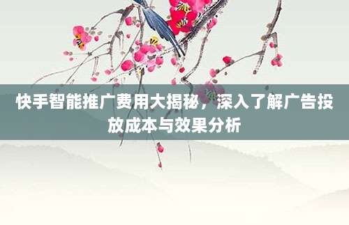 快手智能推广费用大揭秘，深入了解广告投放成本与效果分析