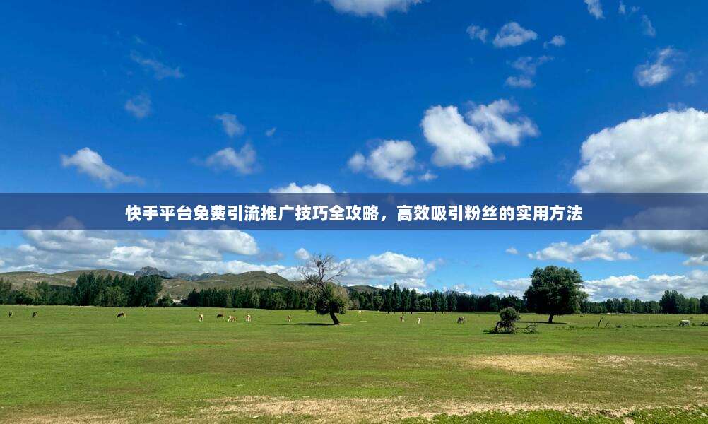 快手平台免费引流推广技巧全攻略，高效吸引粉丝的实用方法