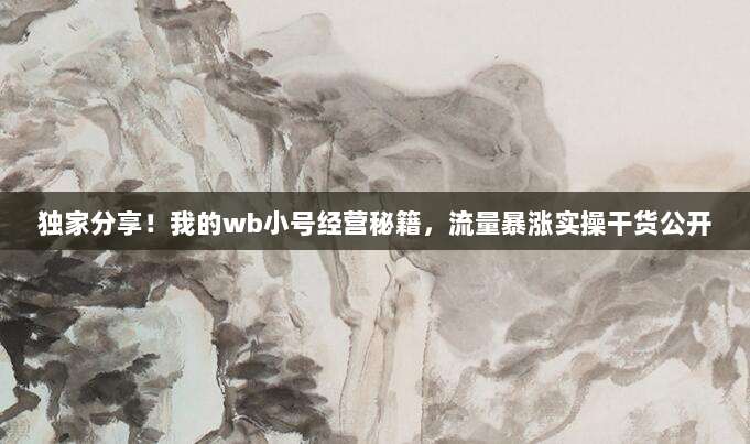 独家分享！我的wb小号经营秘籍，流量暴涨实操干货公开