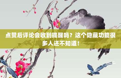 点赞后评论会收到提醒吗？这个隐藏功能很多人还不知道！