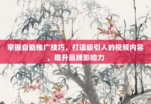 掌握自助推广技巧，打造吸引人的视频内容，提升品牌影响力