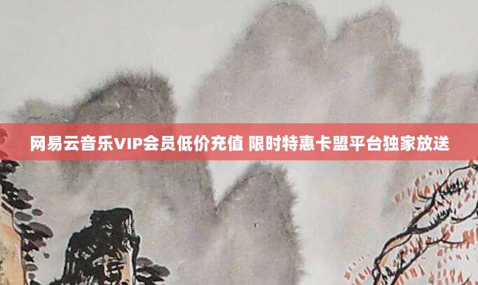 网易云音乐VIP会员低价充值 限时特惠卡盟平台独家放送