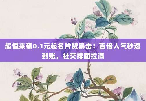 超值来袭0.1元起名片赞暴击！百倍人气秒速到账，社交排面拉满