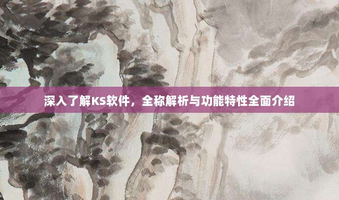 深入了解KS软件，全称解析与功能特性全面介绍